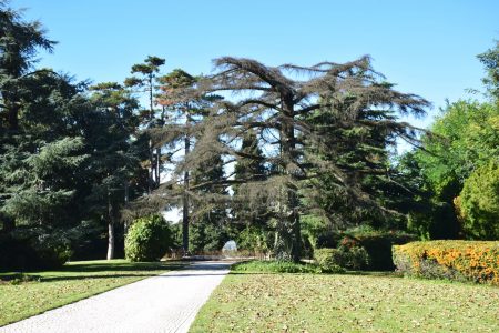 Parco Antica Tenuta Pegazzera - Location per matrimoni colline Oltrepò Pavese